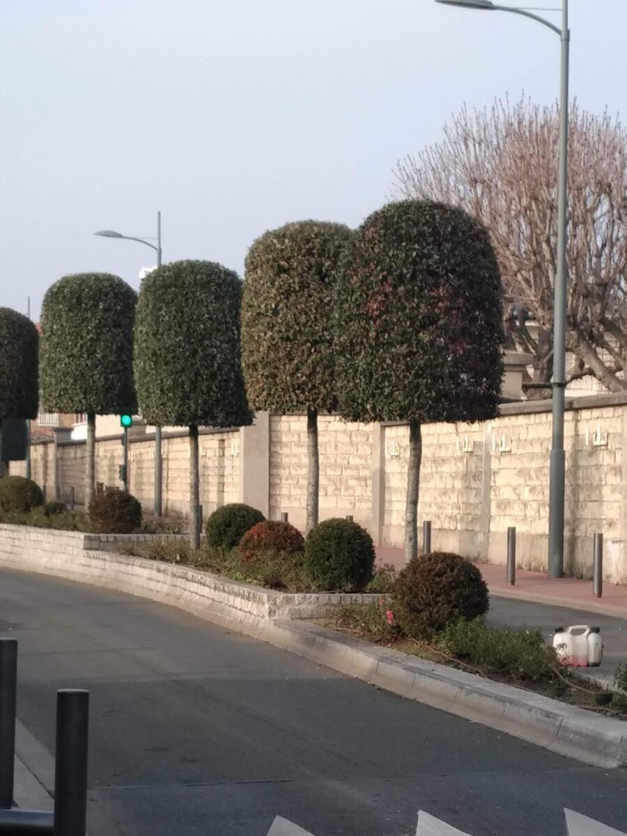 Fin de journée, la même rue vue depuis la chaussée : tout l'alignement est repris, d'un bout à l'autre du mur.